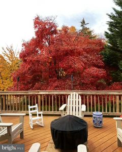 8200 Buckspark Ln W, Potomac, MD, 20854