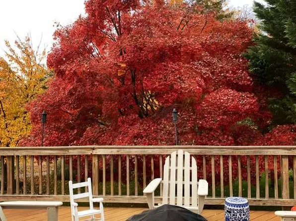 8200 Buckspark Ln W, Potomac, MD 20854