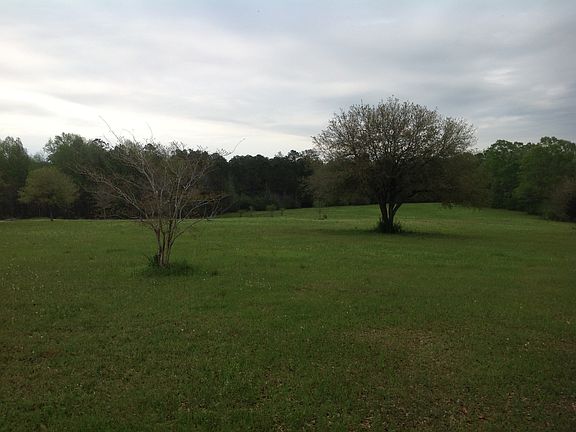 4th image of 116 Anastasia Dr #4187250000