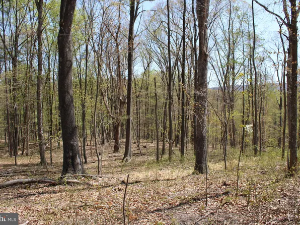 Woodmont Rd, Great Cacapon, WV 25422