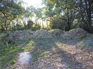 31835 Sybil Ave, Sorrento, FL 32776