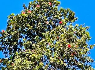 Forest Rd, Pahoa, HI 96778