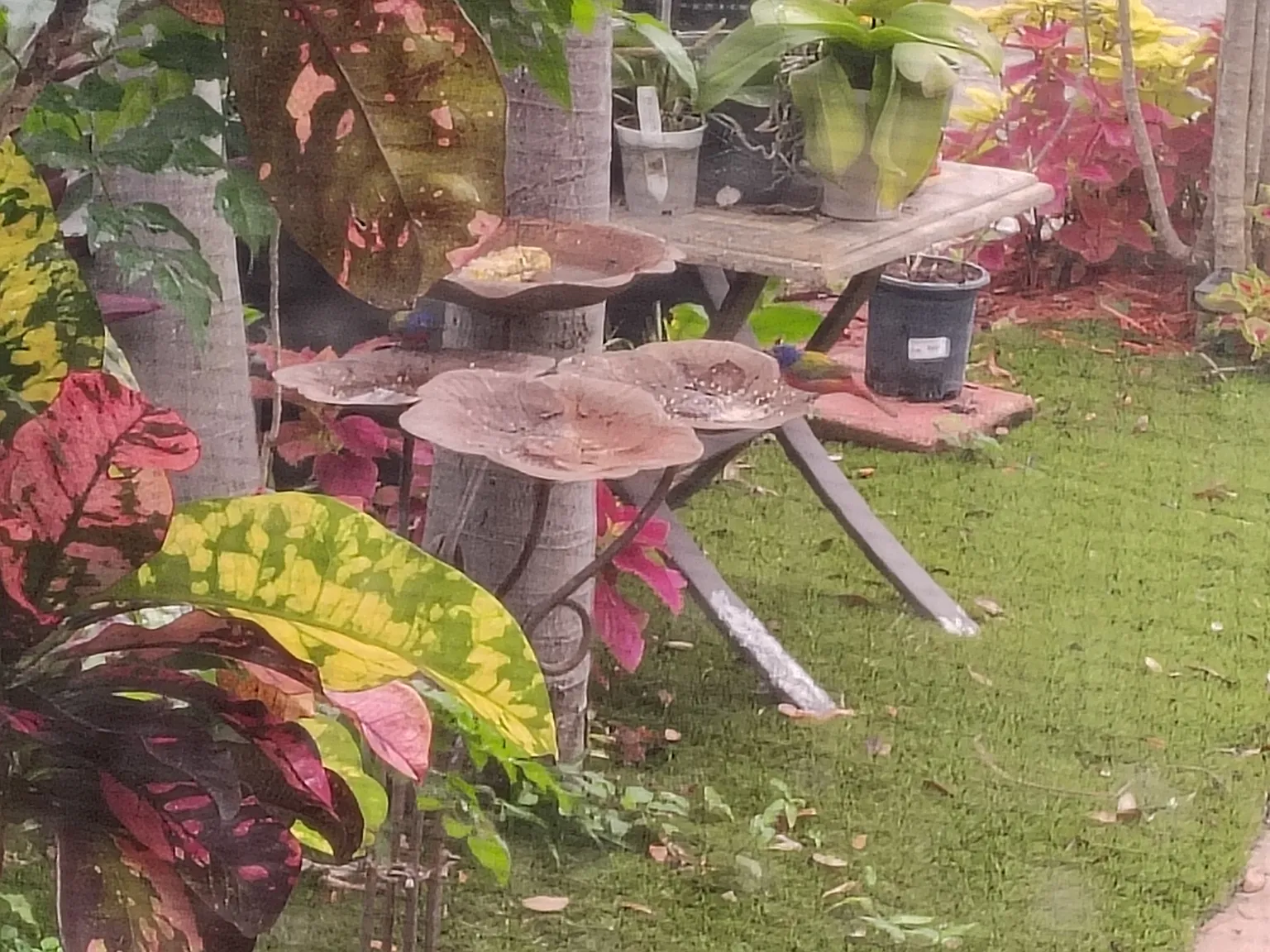 SW 87th Ter, Davie — Photo 2