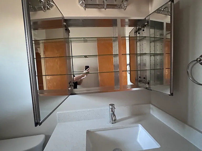 Fully mirrored medicine cabinet