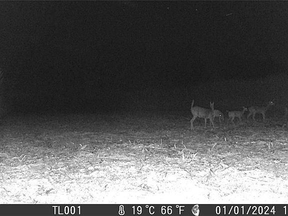 5th image of Walnut Hill Ln