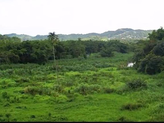 4th image of State Highway 191