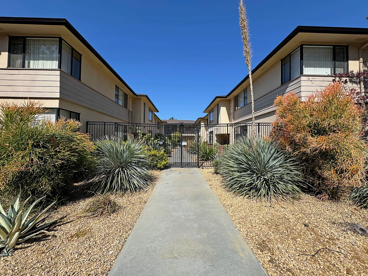 1 bed, 675 sqft, $1,995 — Photo 1