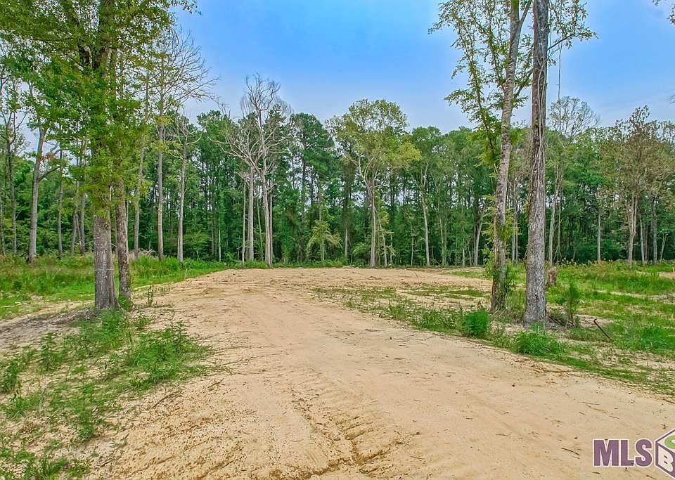 30464 Cane Market Rd LOT 2, Walker, LA 70785 MLS 2023010066 Zillow