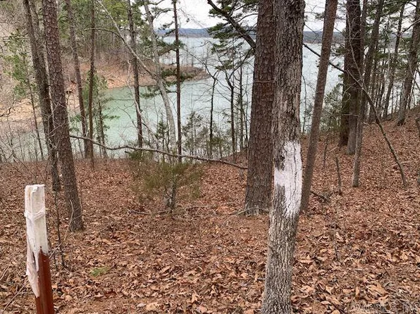 1441 Waterfront Dr, Bee Branch, AR 72013