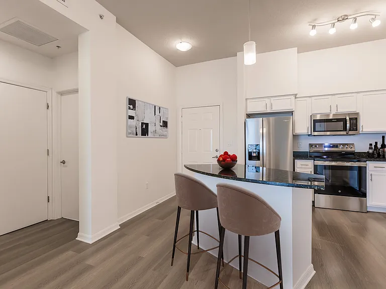 Aviah Flagler Village — Photo 106