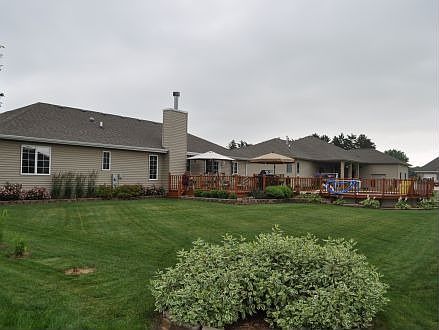 Back yard
