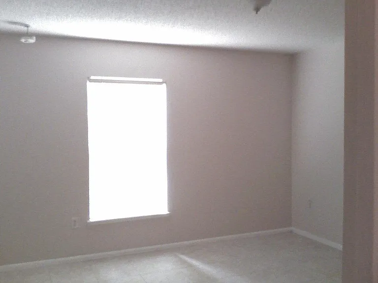 553 Yearling Cove Loop — Photo 19