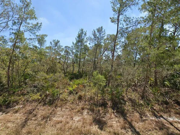 3234 Flatbush Ave Lot 12, Lake Placid, FL 33852