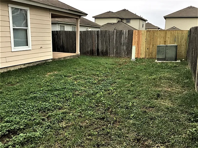 8715 Snow Goose — Photo 14