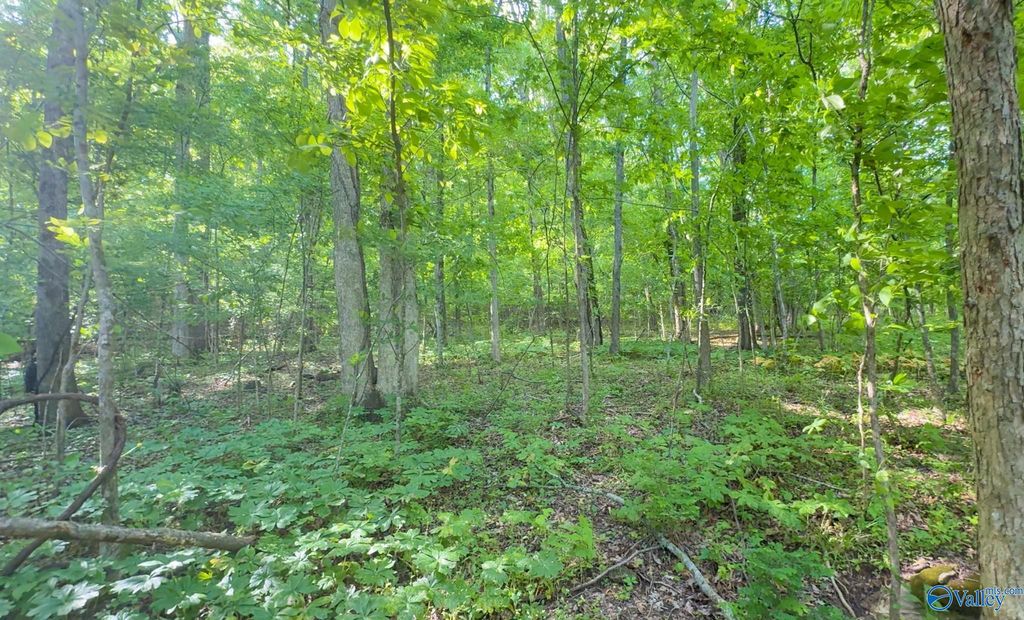140 Ben Johnson Rd, Pulaski, TN - View 3