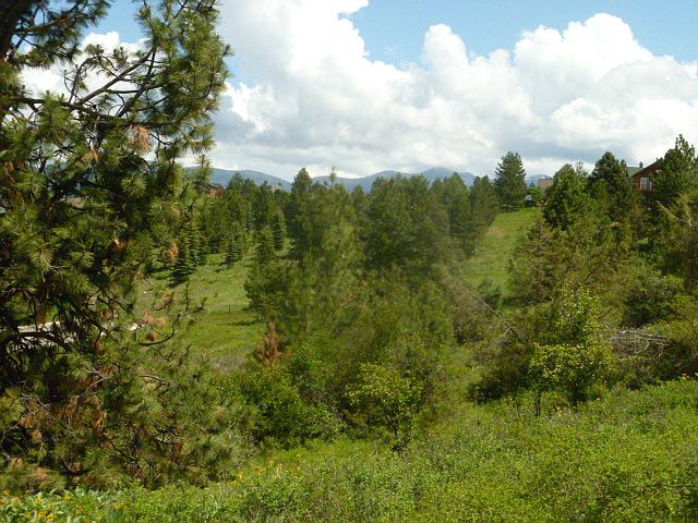 2nd image of View Lot Nhn 15th Ave E