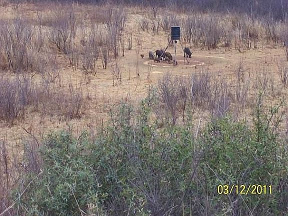2nd image of 3220 County Road 237