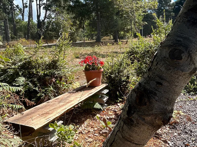 Bench near laundry/storage