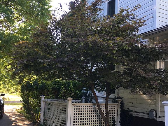 North side of house