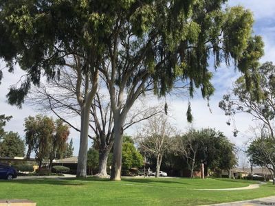4711 Jackson St APT 2, Riverside, CA, 92503