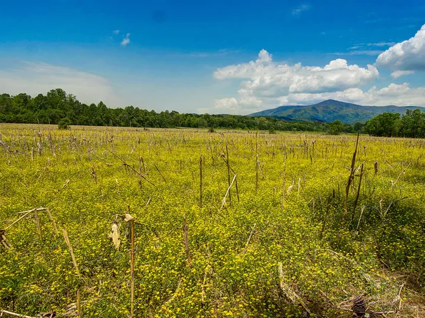 1081 Tom Terry Rd, Chatsworth, GA 30705