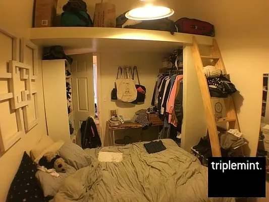 Rented by Triplemint | media 13