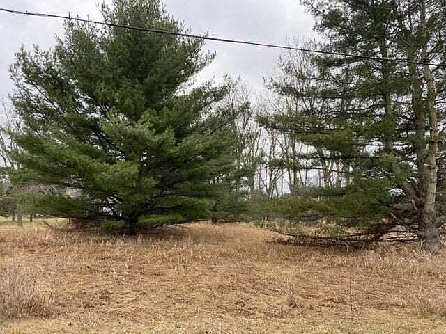 1st image of 11527 Pine Crest Dr