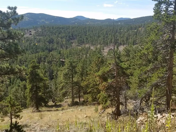32778 Janelle Lane, Golden, CO 80403