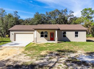33511 Loop Ct, Webster, FL 33597