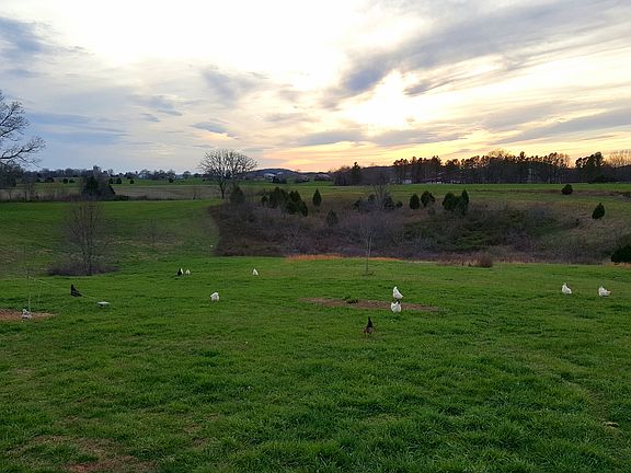View from front porch