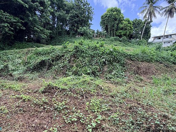 4th image of 0 Mayaguez Bo Quebrada Grande