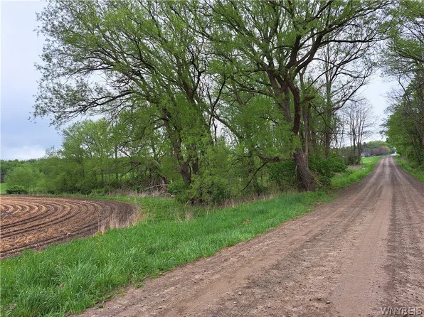 V/l 0 Cowie Rd #27, Perry, NY 14530