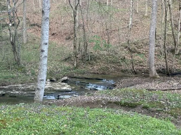 1193 Roughshod Hollow Rd, Byrdstown, TN 38549