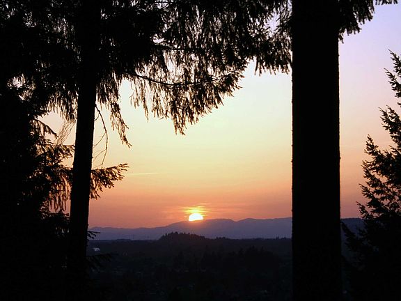 Sunset view