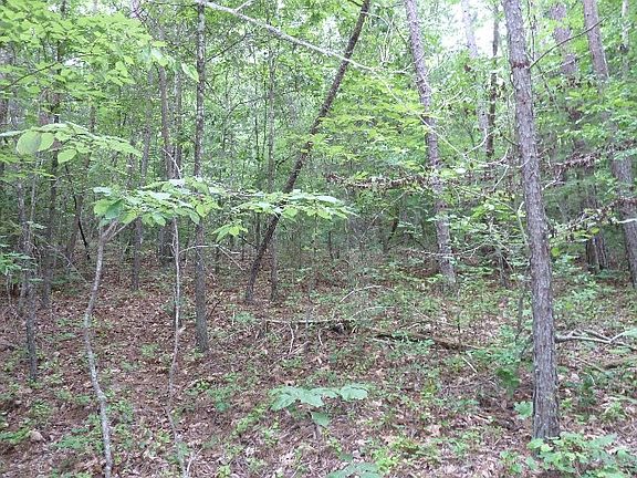 3rd image of 2828 Joe Brown Hwy