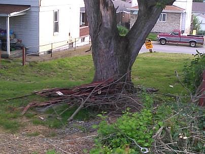 2nd image of 1810 Freeport Rd
