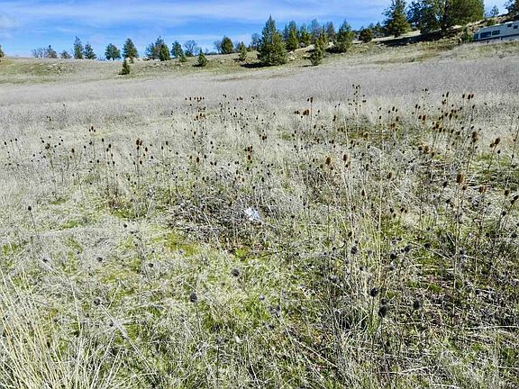3rd image of LOT 45 Desavado Rd