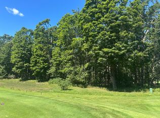 863 Aronimink Dr, Harbor Springs, MI 49740