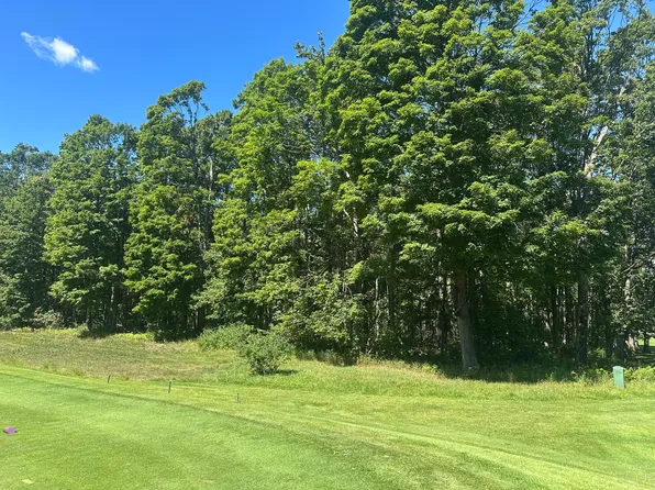863 Aronimink Dr, Harbor Springs, MI 49740