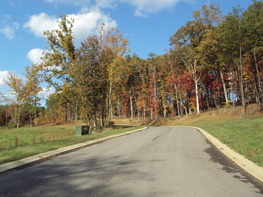 4th image of Cove Springs Dr