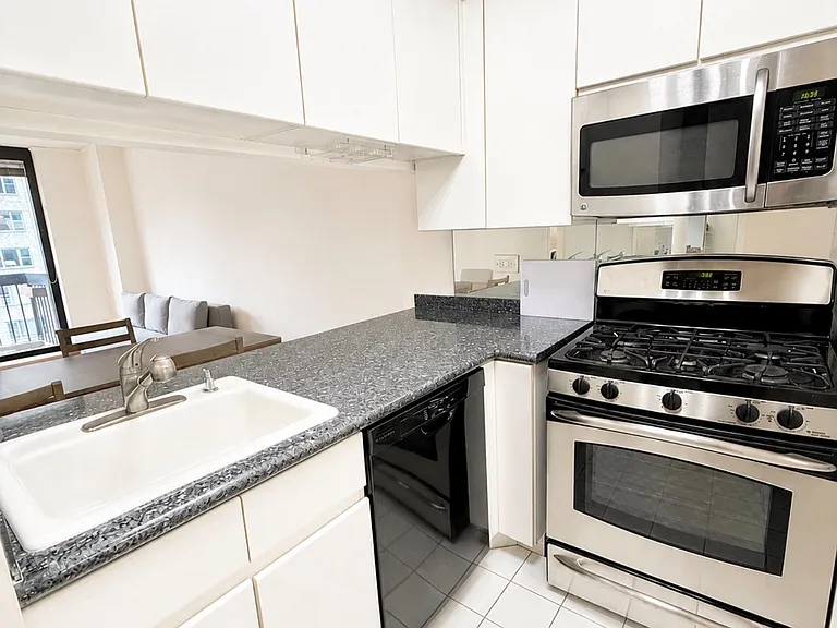 250 E 40th St #19F — Photo 3
