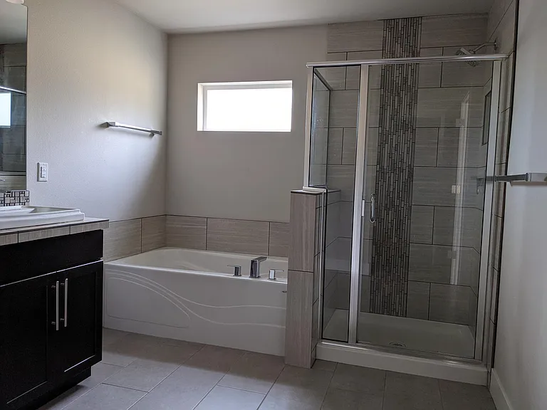 Master Shower and Tub