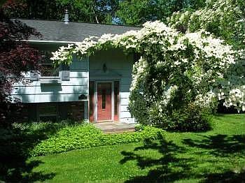 5th image of 1803 Morningview Dr