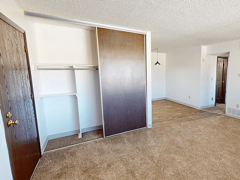 Closets with Built-In Storage
