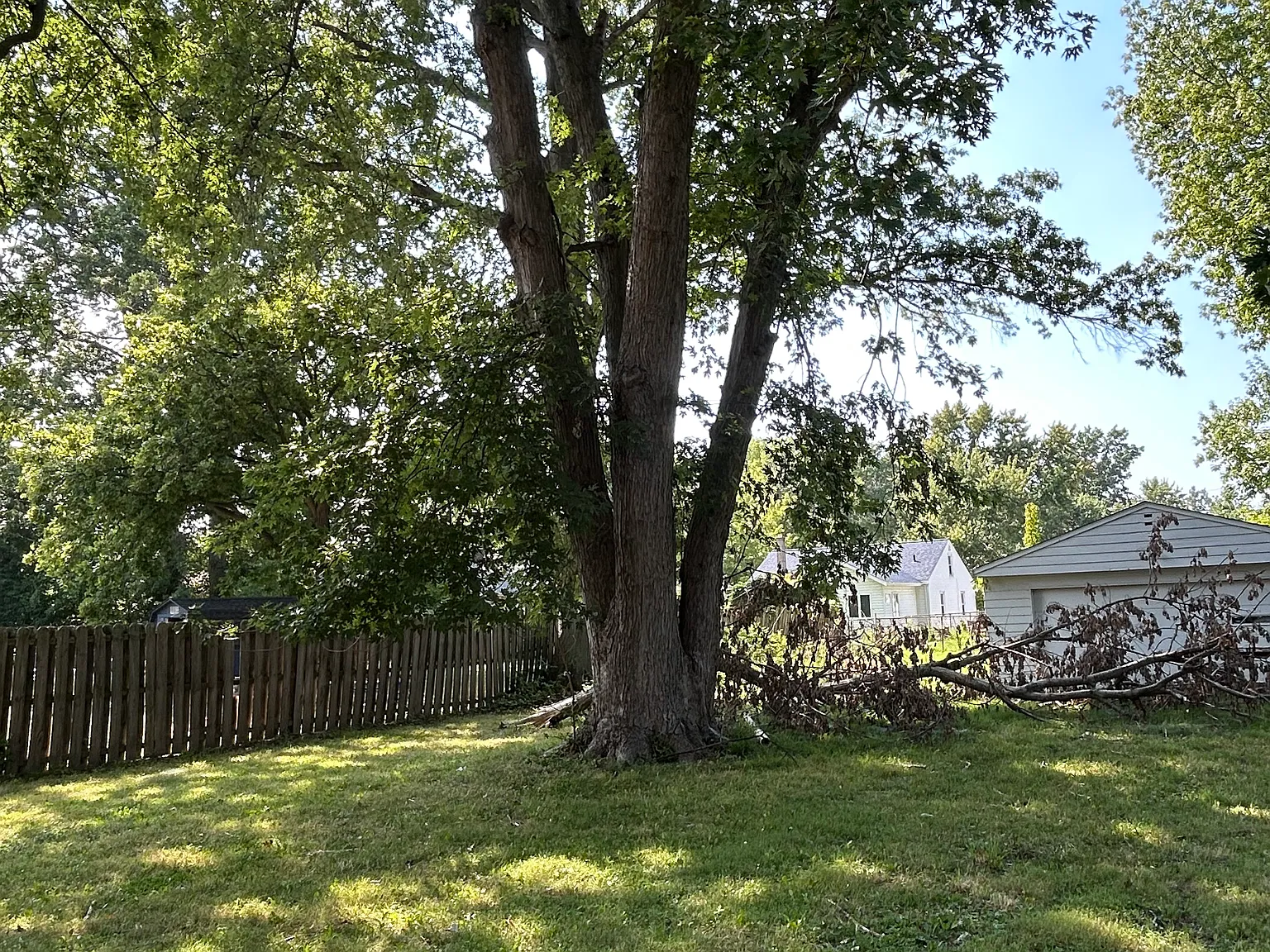 4 bed, 1077 sqft, $1,600 — Photo 4