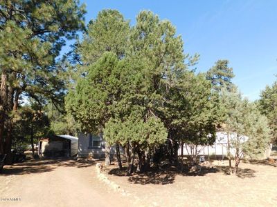 2862 Markham Rd, Overgaard, AZ, 85933