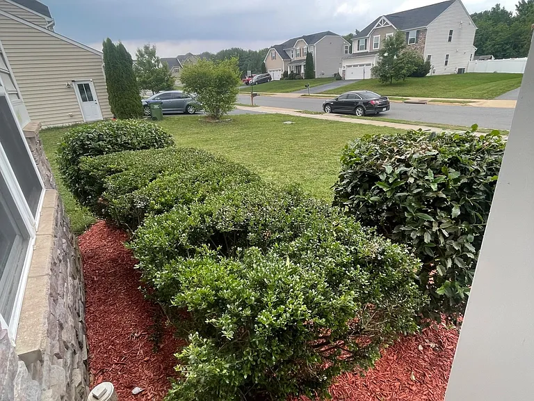 2410 Walthall Ct — Photo 29