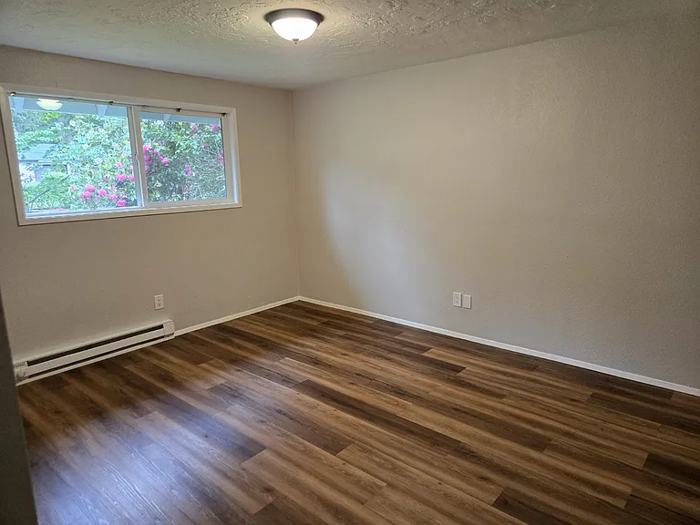 Downstairs bedroom #1
