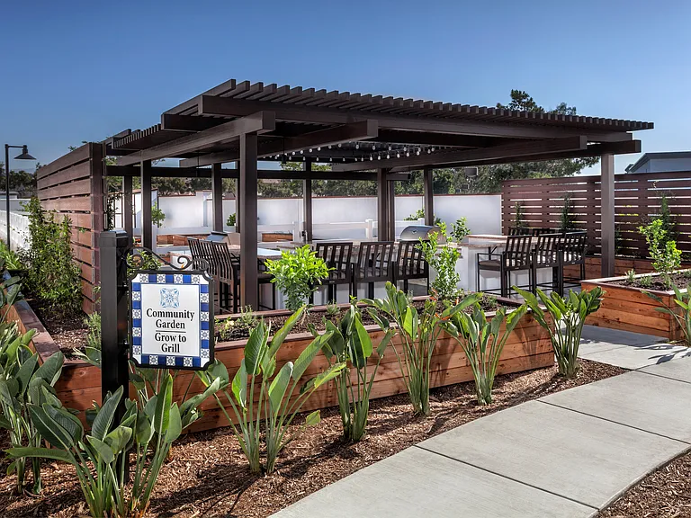 The Enclave at Homecoming Terra Vista — Photo 15