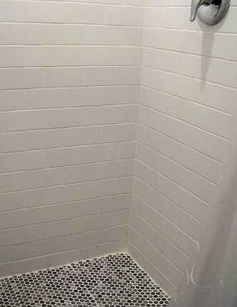5th image of 524 Orton Ave APT 0201